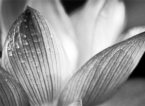 手机号轰炸机网页版